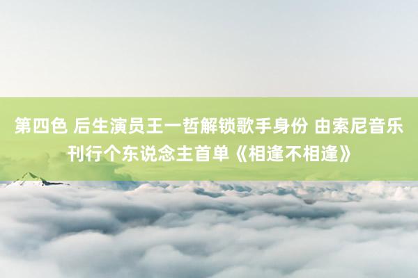 第四色 后生演员王一哲解锁歌手身份 由索尼音乐刊行个东说念主首单《相逢不相逢》