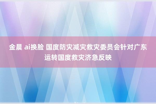 金晨 ai换脸 国度防灾减灾救灾委员会针对广东运转国度救灾济急反映