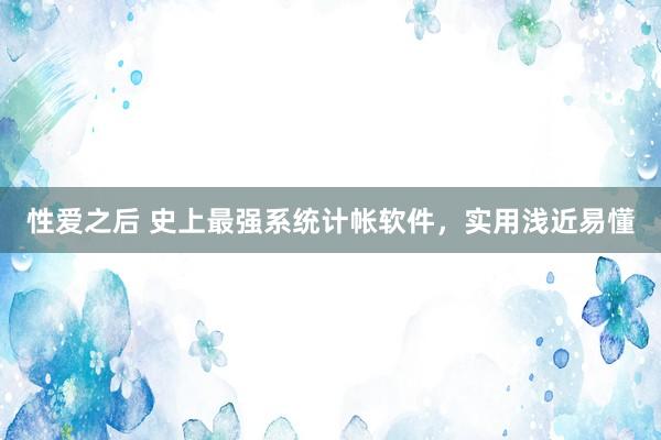 性爱之后 史上最强系统计帐软件，实用浅近易懂