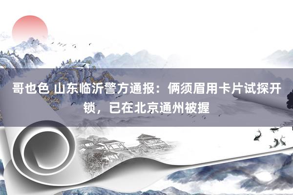 哥也色 山东临沂警方通报：俩须眉用卡片试探开锁，已在北京通州被握