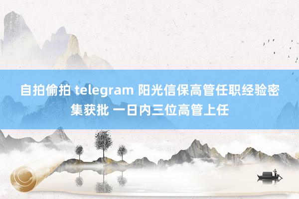 自拍偷拍 telegram 阳光信保高管任职经验密集获批 一日内三位高管上任