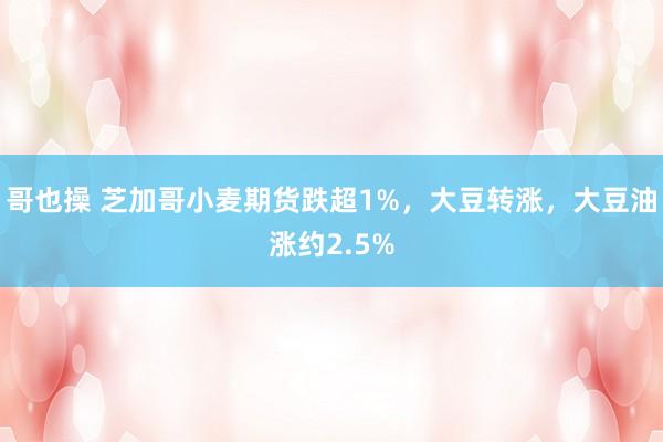 哥也操 芝加哥小麦期货跌超1%，大豆转涨，大豆油涨约2.5%