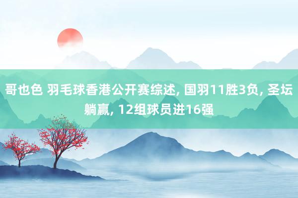 哥也色 羽毛球香港公开赛综述， 国羽11胜3负， 圣坛躺赢， 12组球员进16强