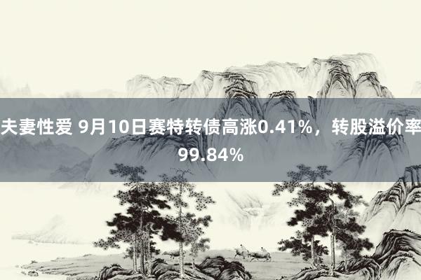 夫妻性爱 9月10日赛特转债高涨0.41%，转股溢价率99.84%