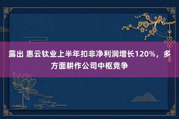 露出 惠云钛业上半年扣非净利润增长120%，多方面耕作公司中枢竞争