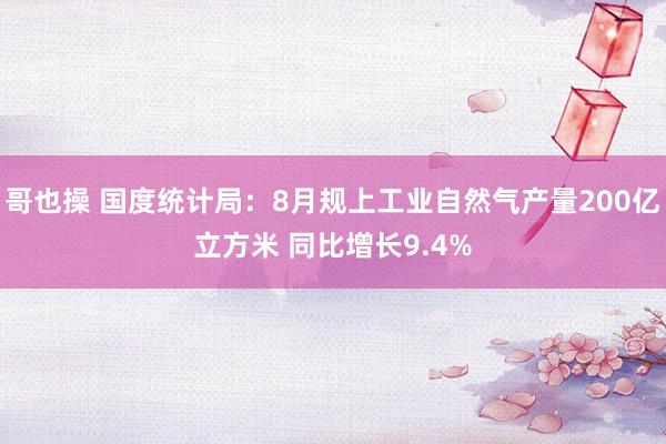 哥也操 国度统计局：8月规上工业自然气产量200亿立方米 同比增长9.4%