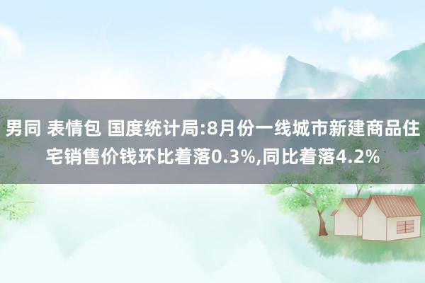 男同 表情包 国度统计局:8月份一线城市新建商品住宅销售价钱环比着落0.3%，同比着落4.2%