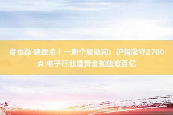 哥也操 晓数点｜一周个股动向：沪指险守2700点 电子行业遭资金抛售逾百亿