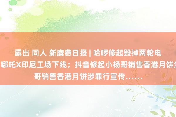 露出 同人 新糜费日报 | 哈啰修起毁掉两轮电动车售卖业务；哪吒X印尼工场下线；抖音修起小杨哥销售香港月饼涉罪行宣传……