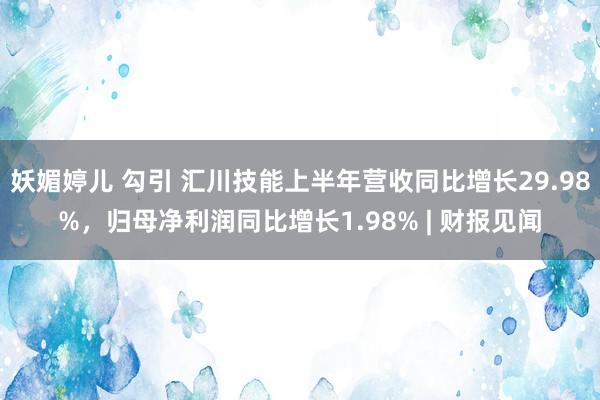 妖媚婷儿 勾引 汇川技能上半年营收同比增长29.98%，归母净利润同比增长1.98% | 财报见闻