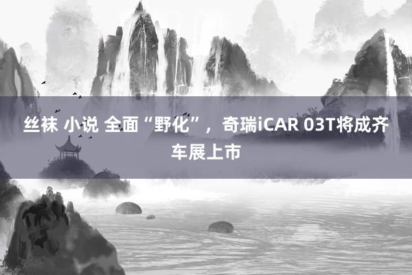 丝袜 小说 全面“野化”，奇瑞iCAR 03T将成齐车展上市