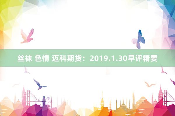 丝袜 色情 迈科期货：2019.1.30早评精要