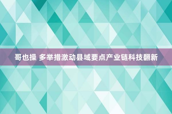 哥也操 多举措激动县域要点产业链科技翻新