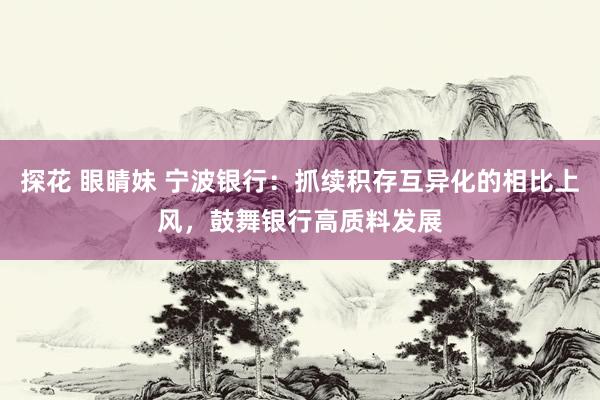 探花 眼睛妹 宁波银行：抓续积存互异化的相比上风，鼓舞银行高质料发展