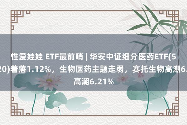 性爱娃娃 ETF最前哨 | 华安中证细分医药ETF(512120)着落1.12%，生物医药主题走弱，赛托生物高潮6.21%