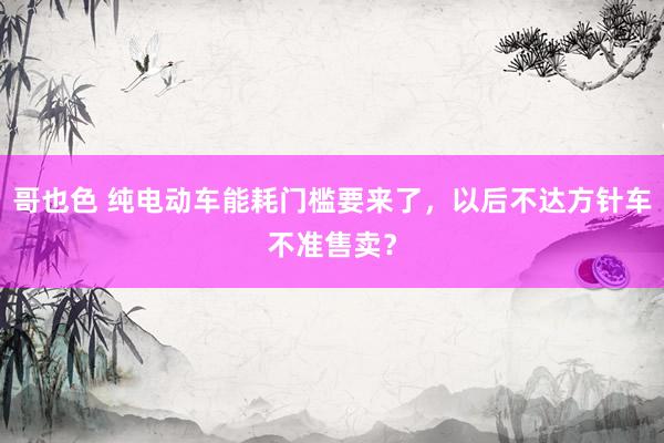 哥也色 纯电动车能耗门槛要来了，以后不达方针车不准售卖？