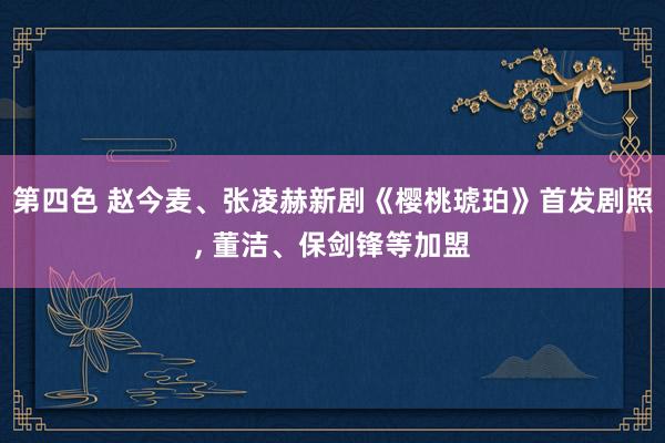 第四色 赵今麦、张凌赫新剧《樱桃琥珀》首发剧照， 董洁、保剑锋等加盟