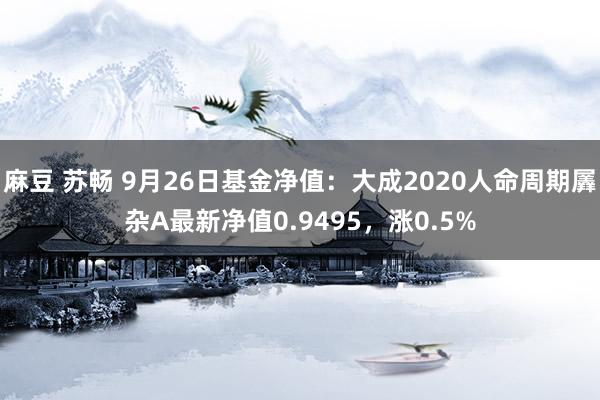 麻豆 苏畅 9月26日基金净值：大成2020人命周期羼杂A最新净值0.9495，涨0.5%