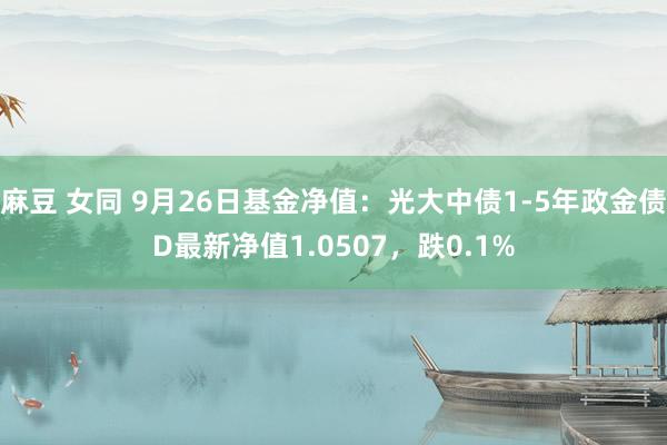 麻豆 女同 9月26日基金净值：光大中债1-5年政金债D最新净值1.0507，跌0.1%