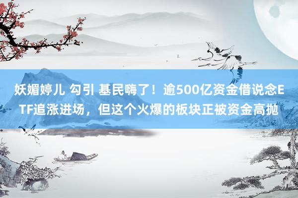 妖媚婷儿 勾引 基民嗨了！逾500亿资金借说念ETF追涨进场，但这个火爆的板块正被资金高抛