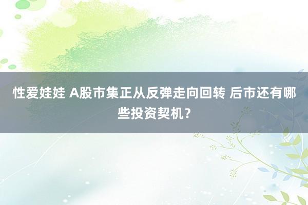 性爱娃娃 A股市集正从反弹走向回转 后市还有哪些投资契机？