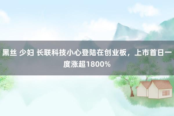 黑丝 少妇 长联科技小心登陆在创业板，上市首日一度涨超1800%