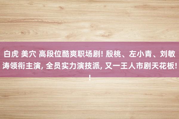 白虎 美穴 高段位酷爽职场剧! 殷桃、左小青、刘敏涛领衔主演， 全员实力演技派， 又一王人市剧天花板!