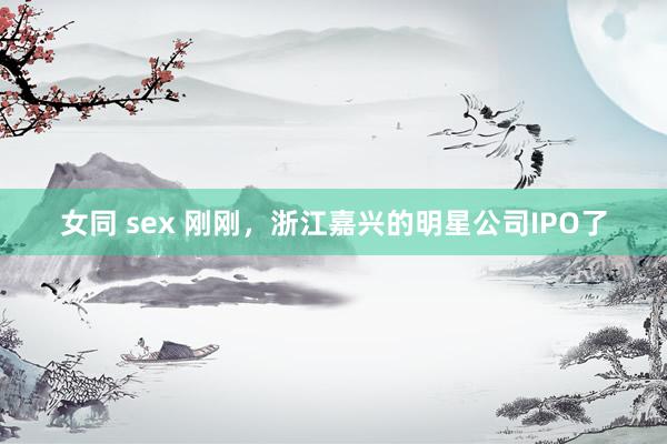 女同 sex 刚刚，浙江嘉兴的明星公司IPO了