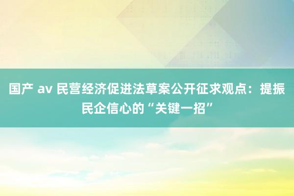 国产 av 民营经济促进法草案公开征求观点：提振民企信心的“关键一招”