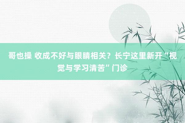 哥也操 收成不好与眼睛相关？长宁这里新开“视觉与学习清苦”门诊