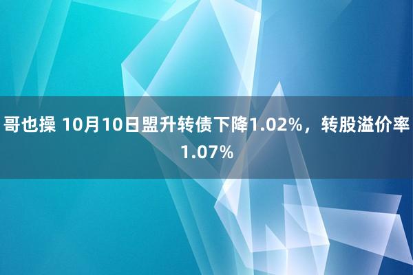 哥也操 10月10日盟升转债下降1.02%，转股溢价率1.07%