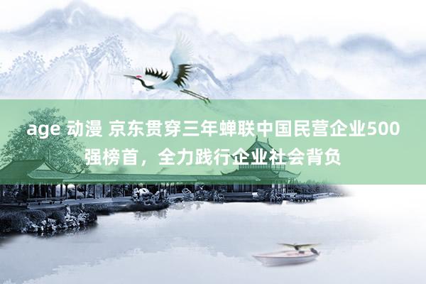 age 动漫 京东贯穿三年蝉联中国民营企业500强榜首，全力践行企业社会背负