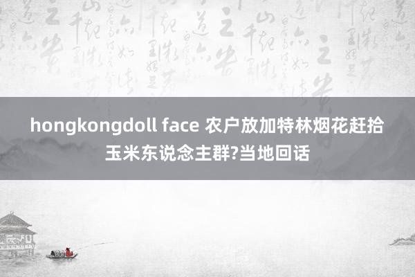 hongkongdoll face 农户放加特林烟花赶拾玉米东说念主群?当地回话