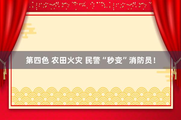 第四色 农田火灾 民警“秒变”消防员！