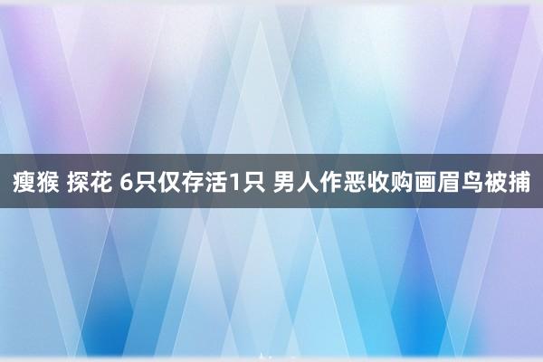 瘦猴 探花 6只仅存活1只 男人作恶收购画眉鸟被捕