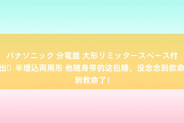 パナソニック 分電盤 大形リミッタースペース付 露出・半埋込両用形 他随身带的这包糖，没念念到救命了！