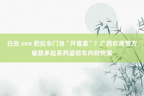 白丝 sex 把拉车门当“开盲盒”？广西钦南警方破获多起系列盗窃车内财物案