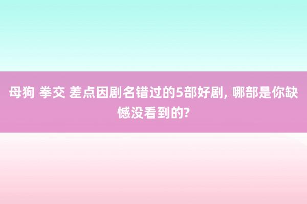 母狗 拳交 差点因剧名错过的5部好剧， 哪部是你缺憾没看到的?