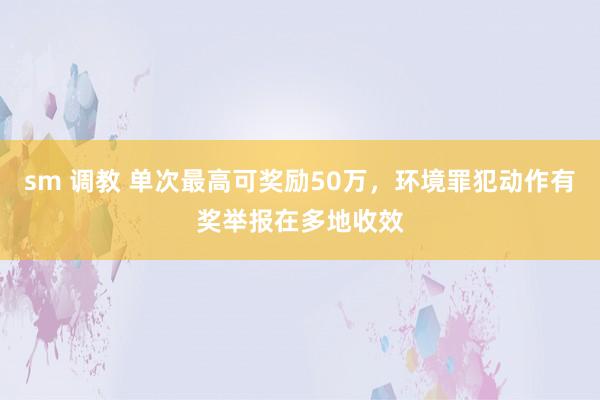 sm 调教 单次最高可奖励50万，环境罪犯动作有奖举报在多地收效