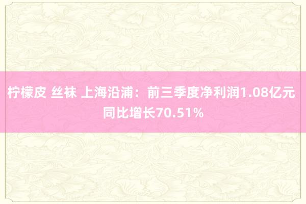 柠檬皮 丝袜 上海沿浦：前三季度净利润1.08亿元 同比增长70.51%