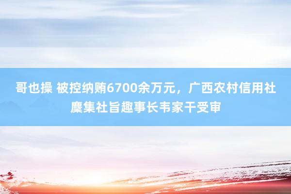 哥也操 被控纳贿6700余万元，广西农村信用社麇集社旨趣事长韦家干受审