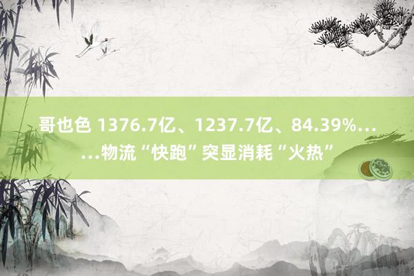 哥也色 1376.7亿、1237.7亿、84.39%……物流“快跑”突显消耗“火热”