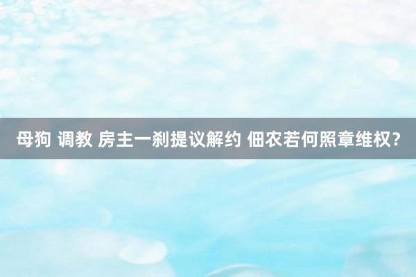 母狗 调教 房主一刹提议解约 佃农若何照章维权？