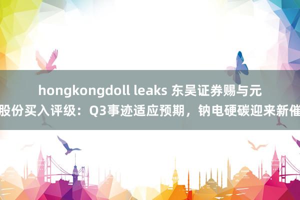 hongkongdoll leaks 东吴证券赐与元力股份买入评级：Q3事迹适应预期，钠电硬碳迎来新催化