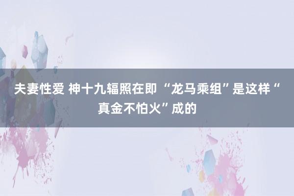 夫妻性爱 神十九辐照在即 “龙马乘组”是这样“真金不怕火”成的