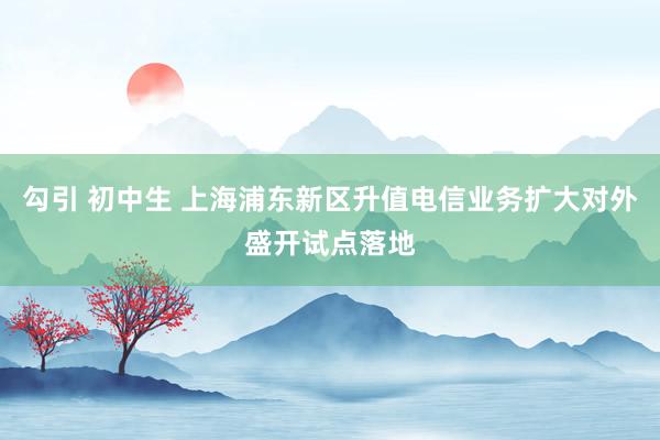 勾引 初中生 上海浦东新区升值电信业务扩大对外盛开试点落地