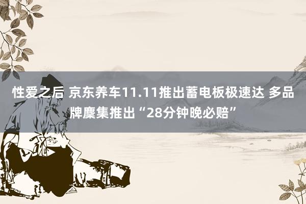 性爱之后 京东养车11.11推出蓄电板极速达 多品牌麇集推出“28分钟晚必赔”