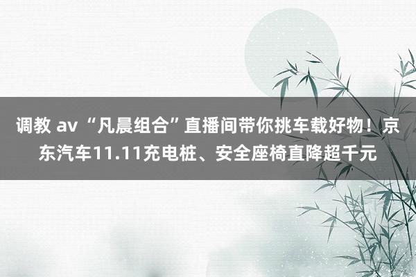 调教 av “凡晨组合”直播间带你挑车载好物！京东汽车11.11充电桩、安全座椅直降超千元