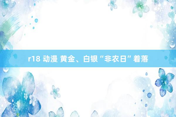 r18 动漫 黄金、白银“非农日”着落