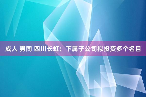 成人 男同 四川长虹：下属子公司拟投资多个名目